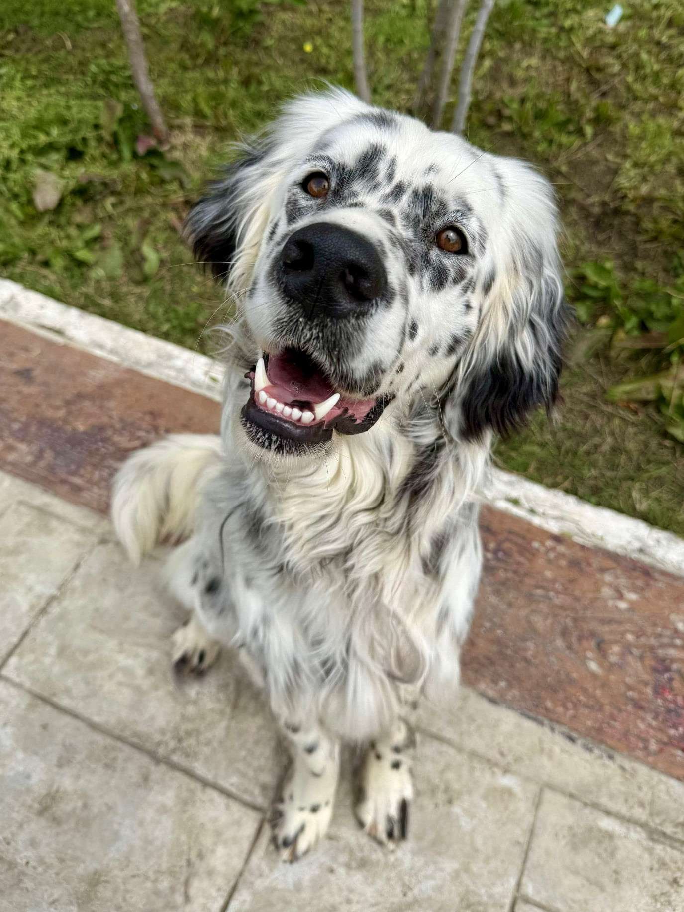 Luna