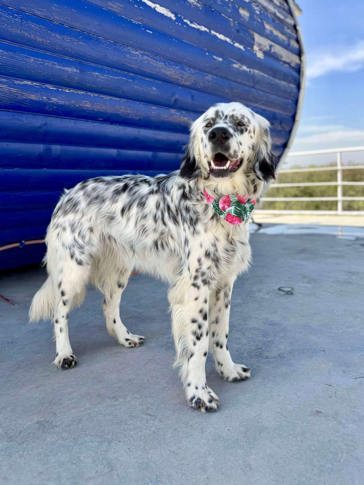 Luna