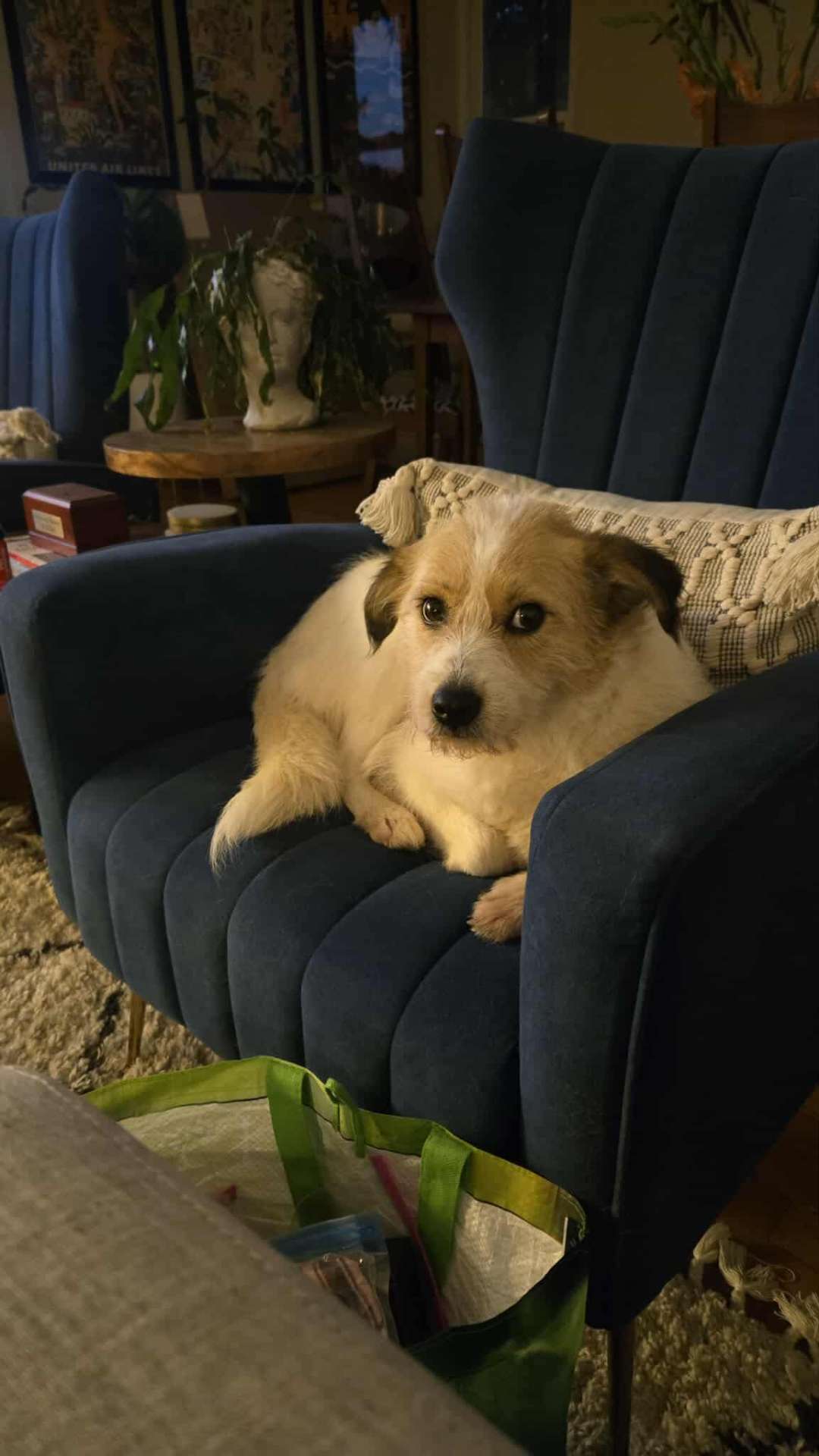 Ramona