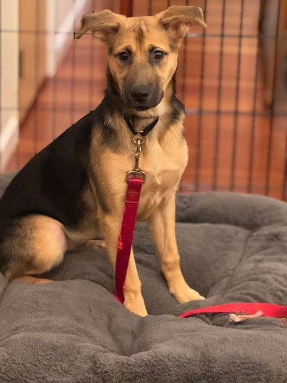 Riley (fka Cypress)
