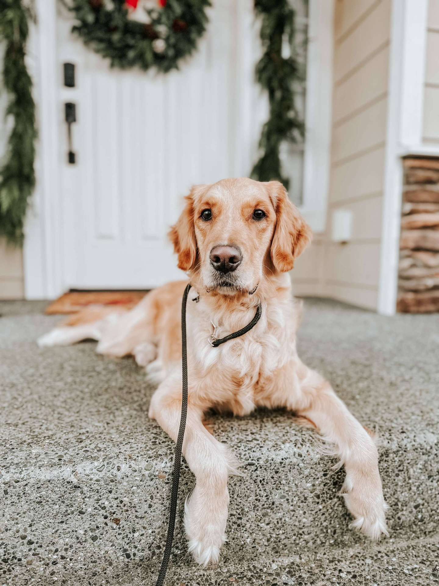 Loki
