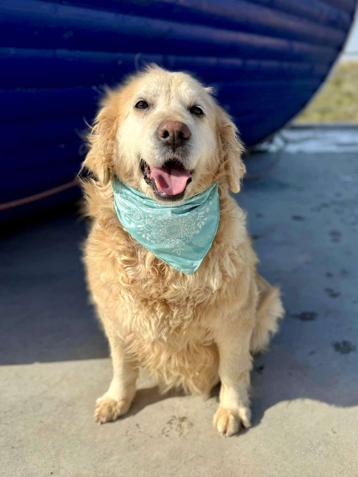 Goldilocks 