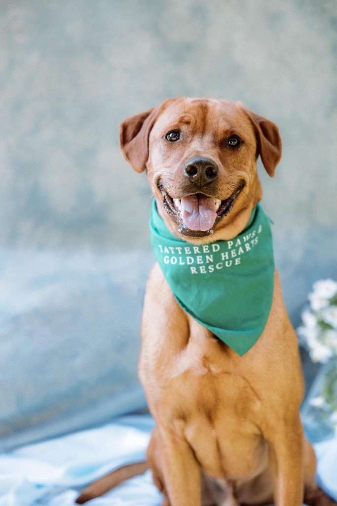 *ADOPTED* <br> Nicholas 