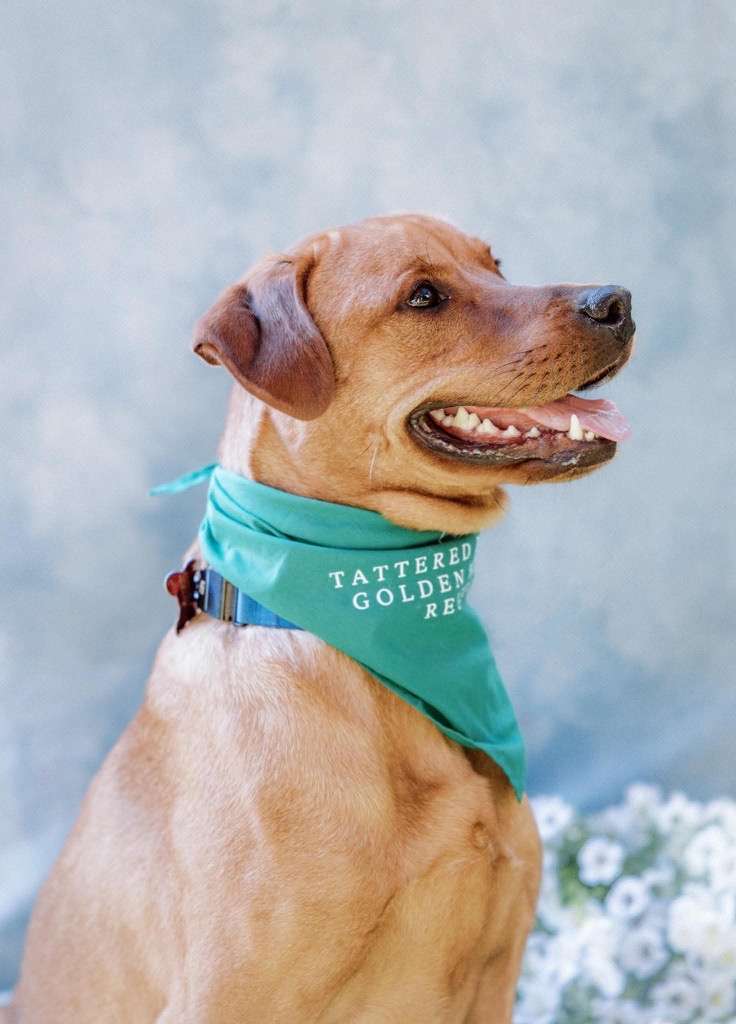 *ADOPTED* <br> Nicholas 
