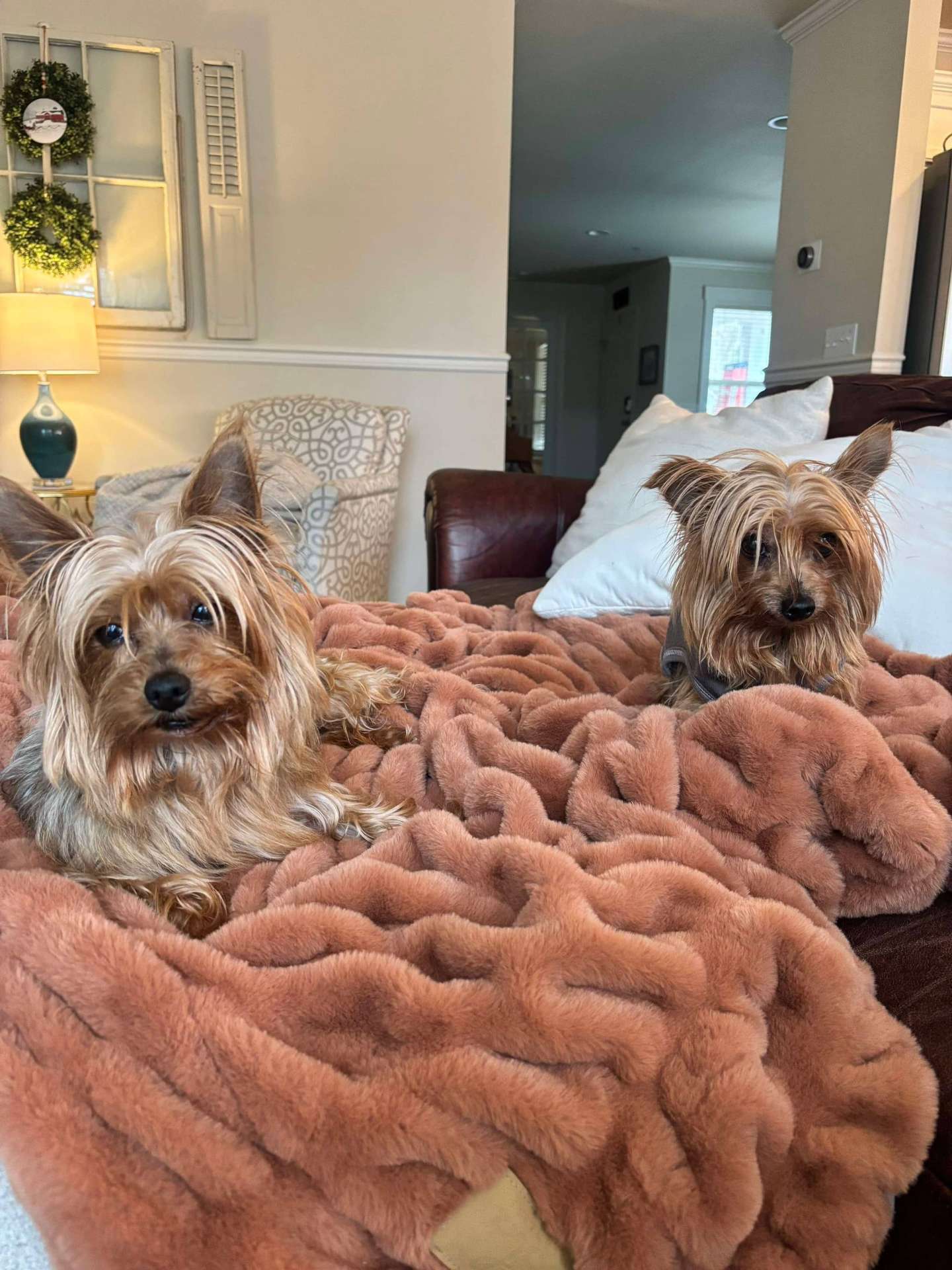 Snickers & Rolo 