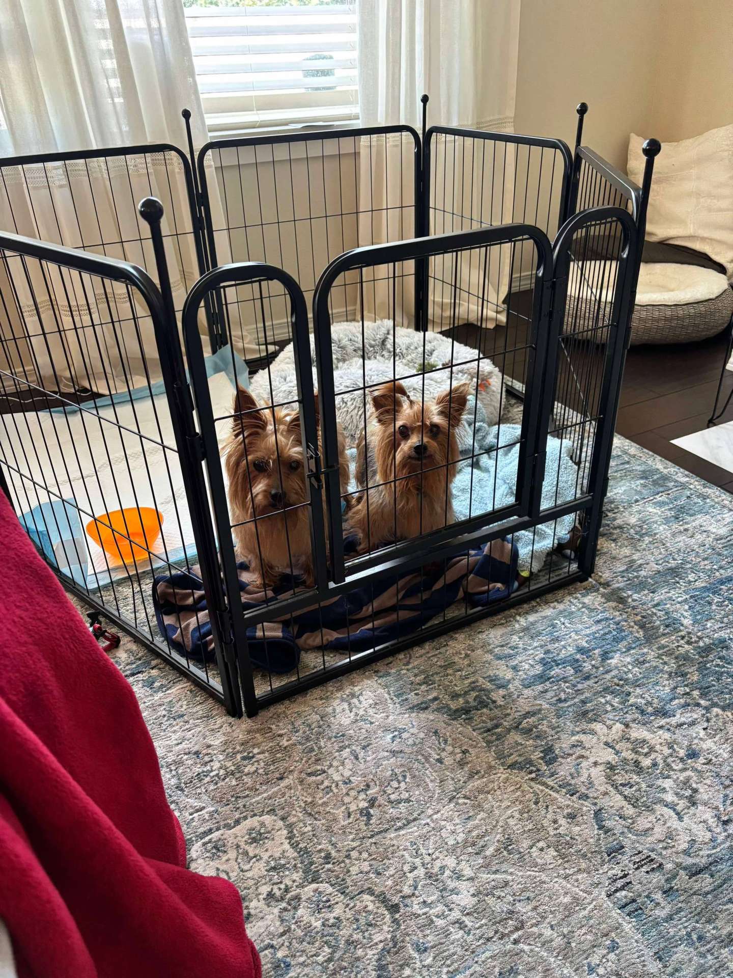 Snickers & Rolo 