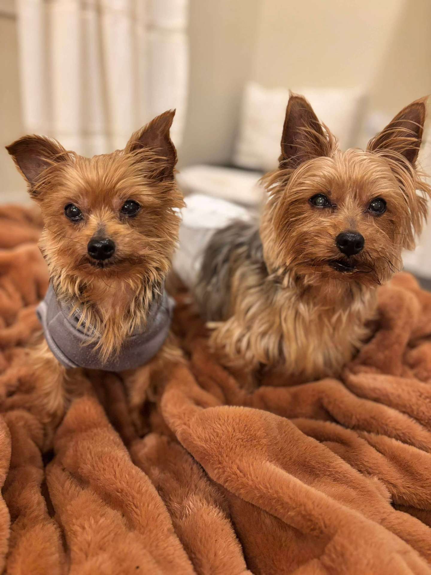 Snickers & Rolo 