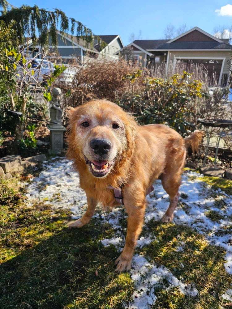 Elsa