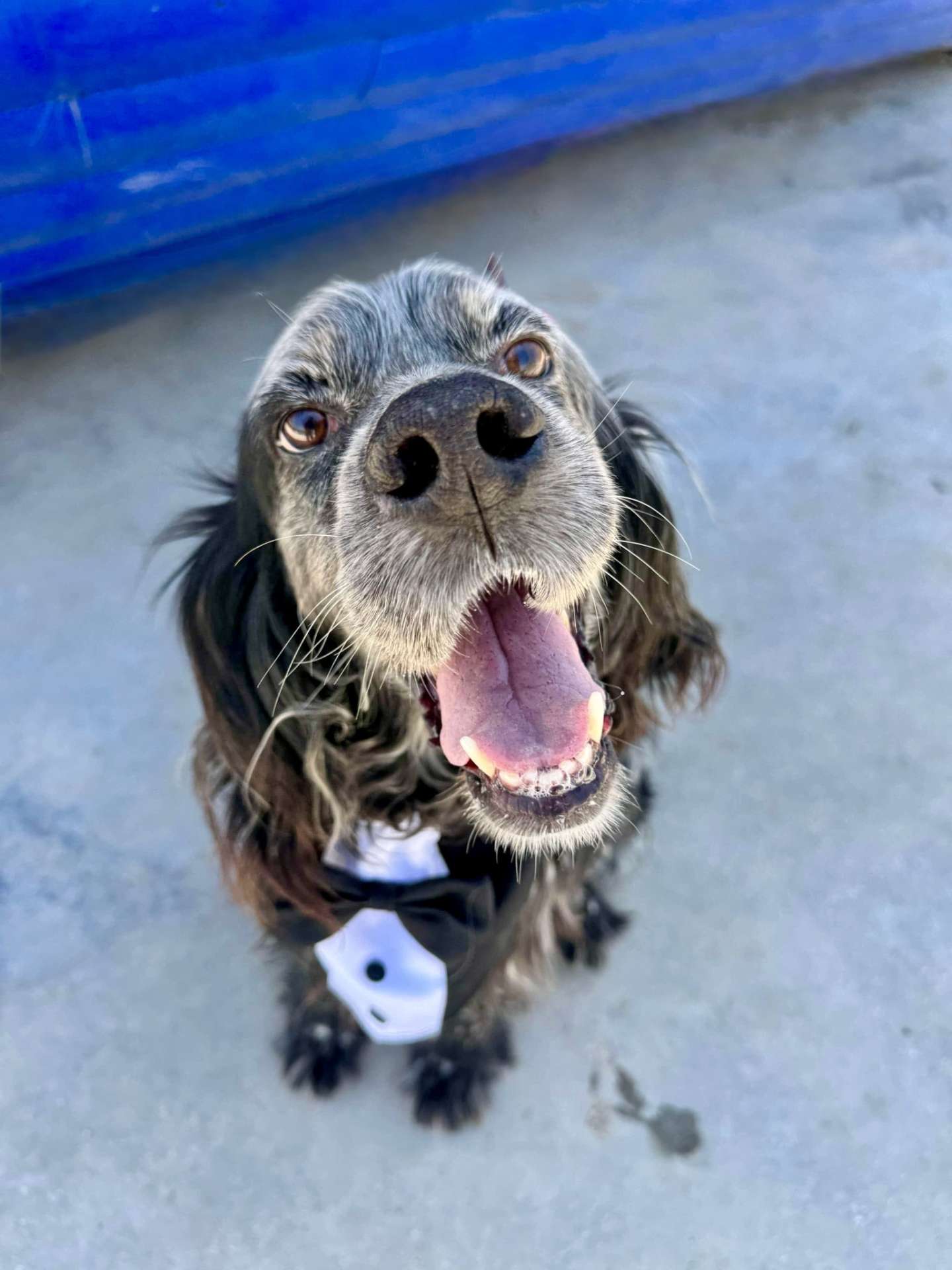 Humphrey
