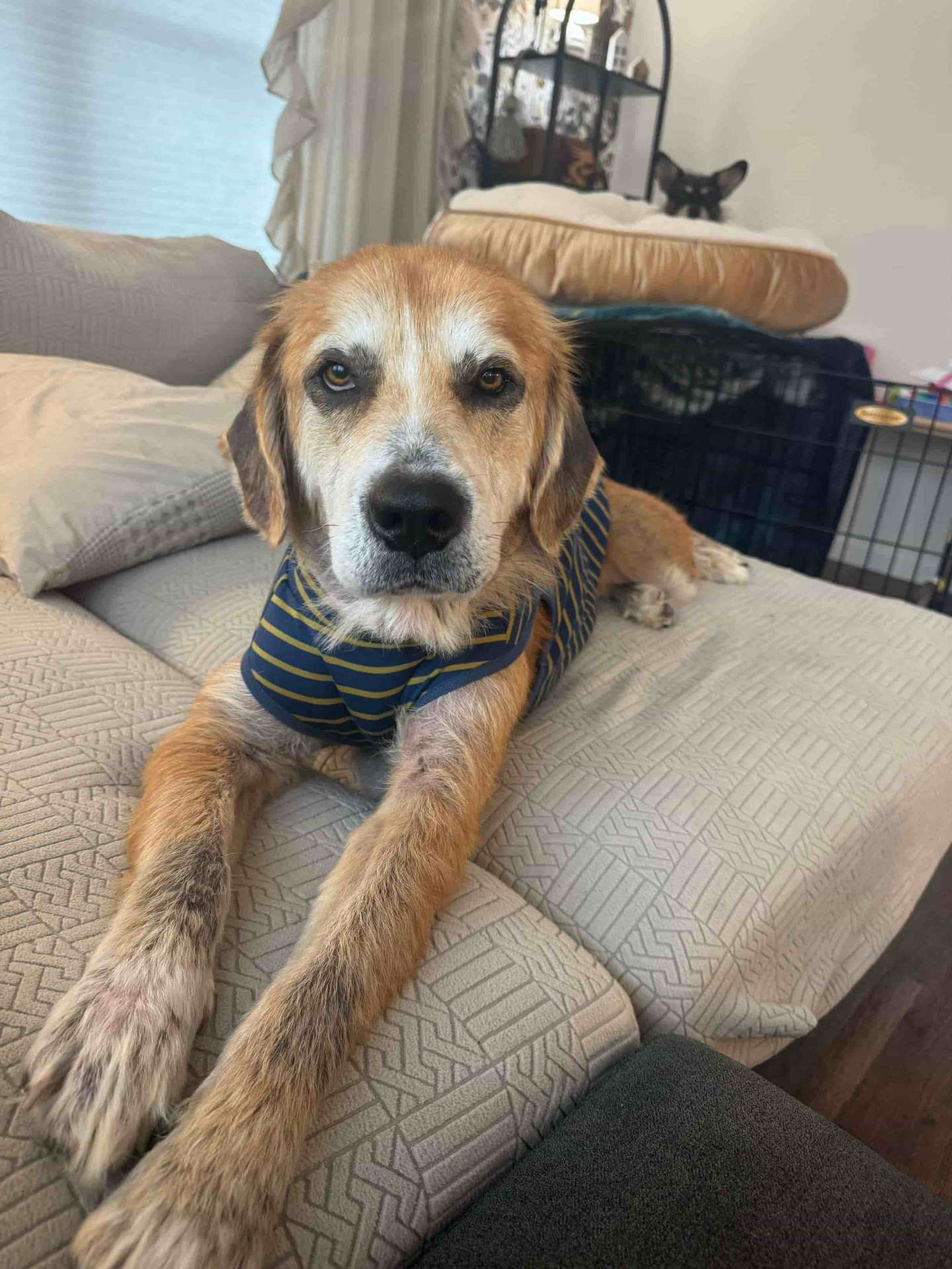 Rudy