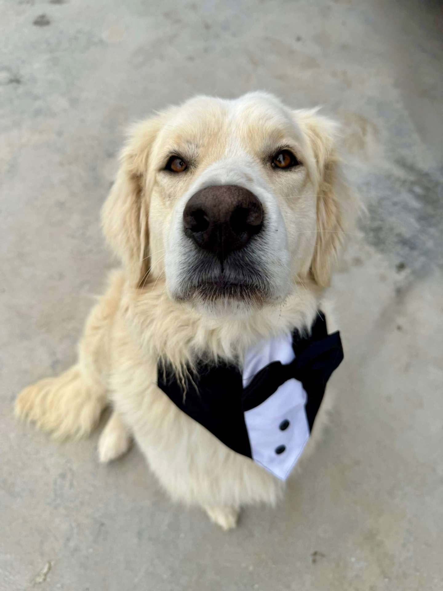 Roscoe 