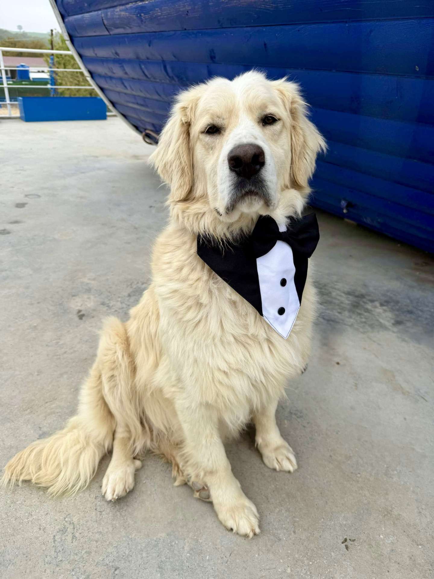 Roscoe 