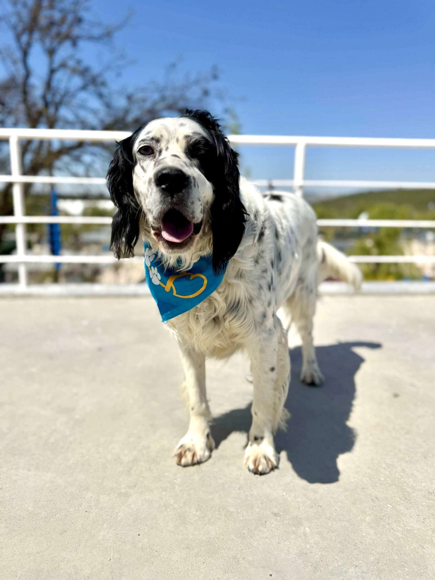 Tyson
