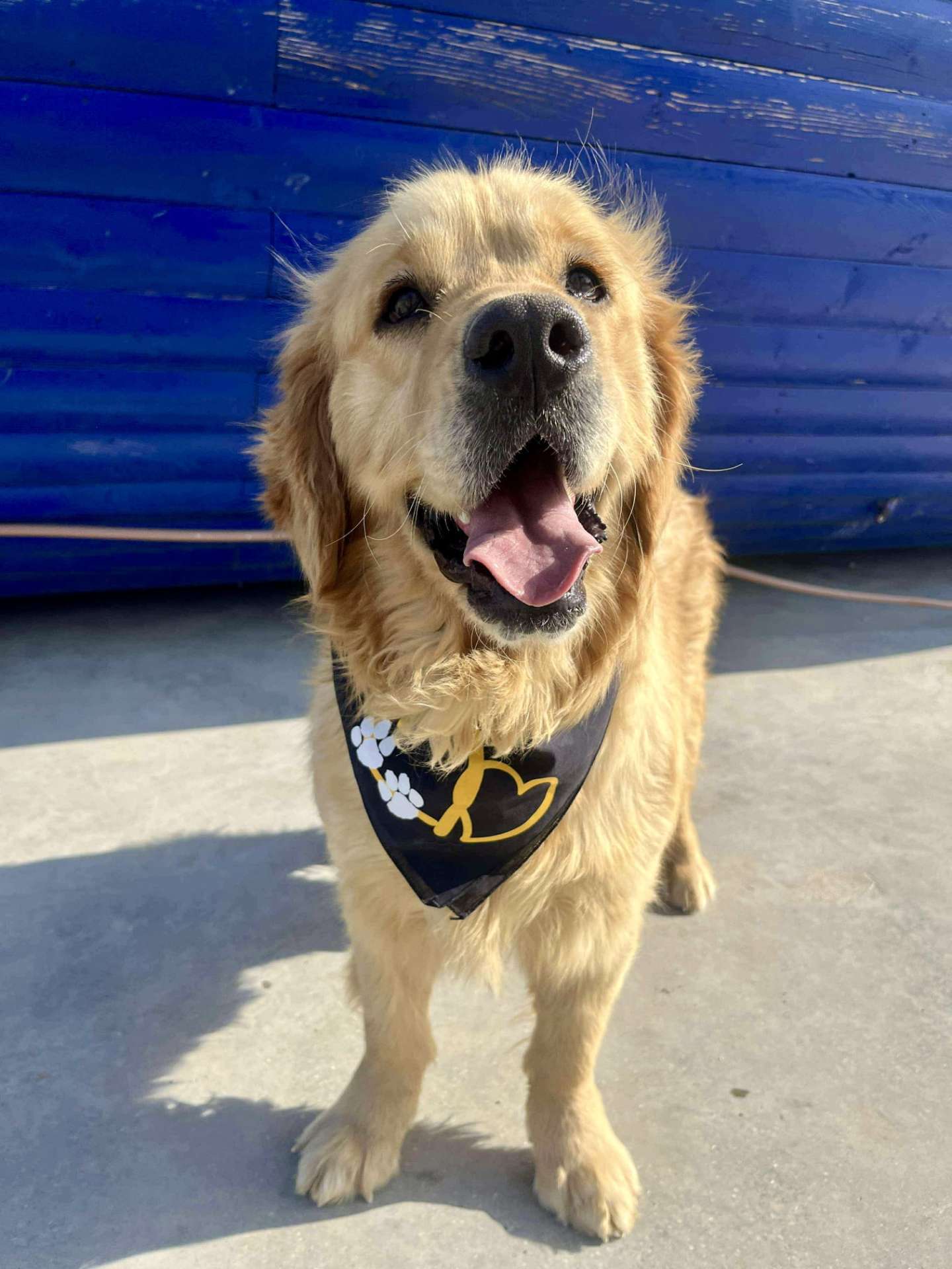 *ADOPTED* <br> Clark