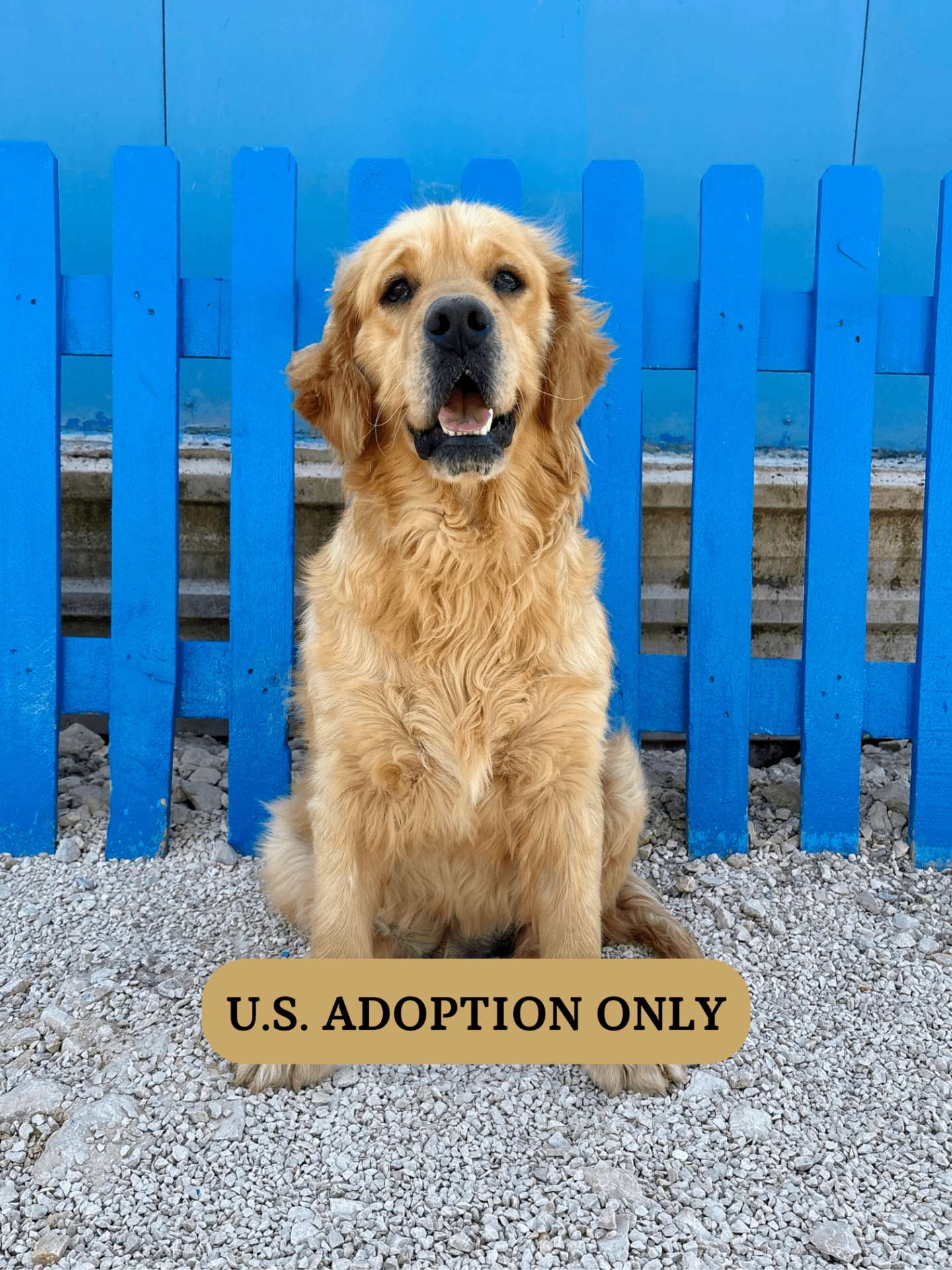 *ADOPTED* <br> Clark