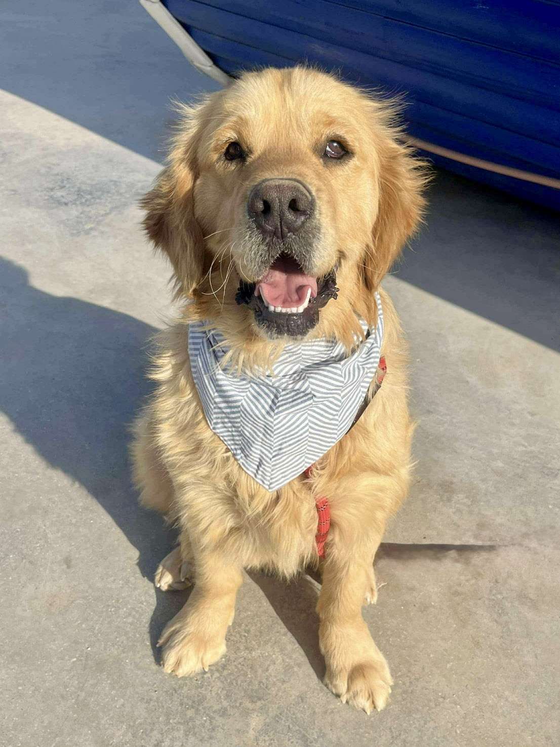 *ADOPTED* <br> Clark