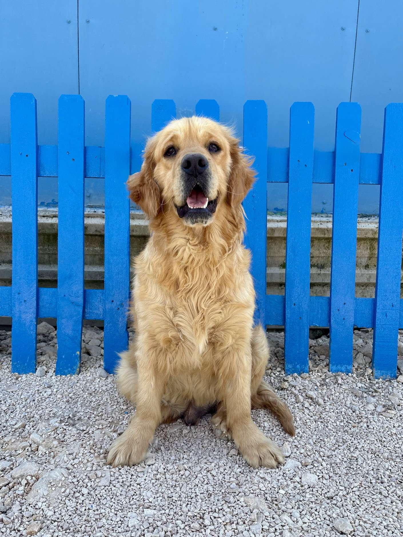 *ADOPTED* <br> Clark