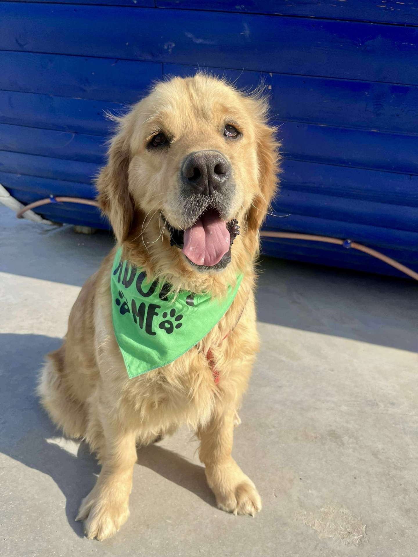 *ADOPTED* <br> Clark