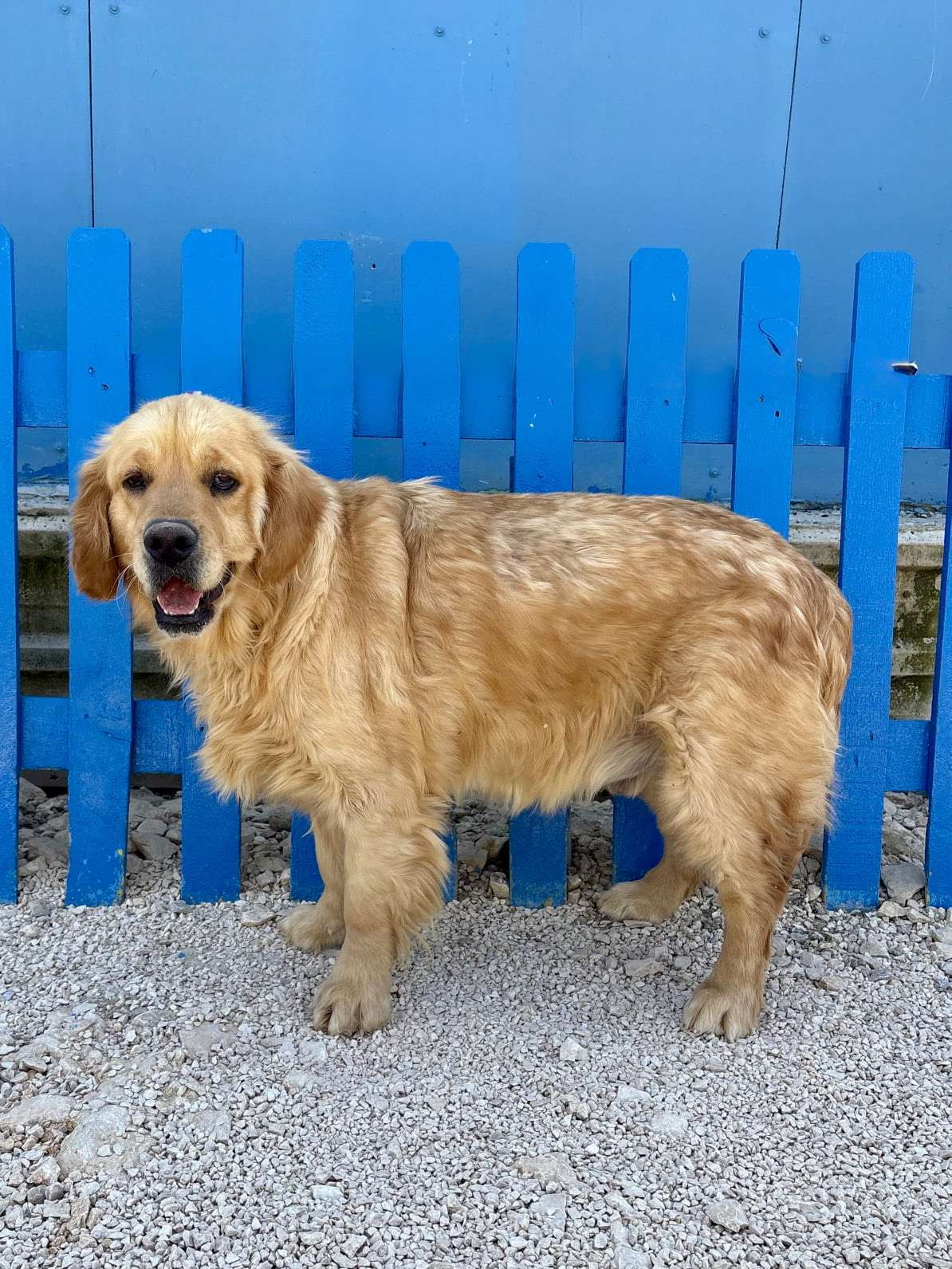 *ADOPTED* <br> Clark