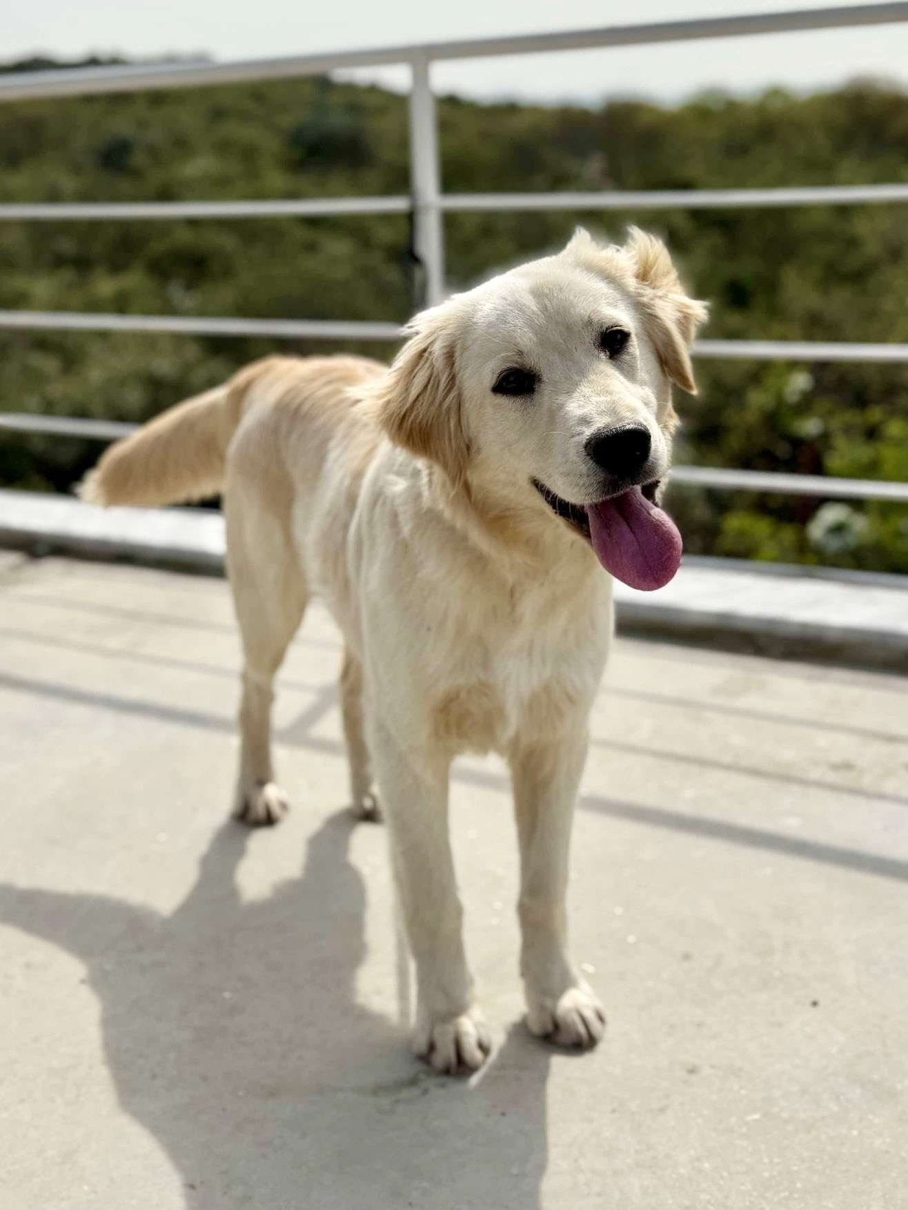 Sammy 