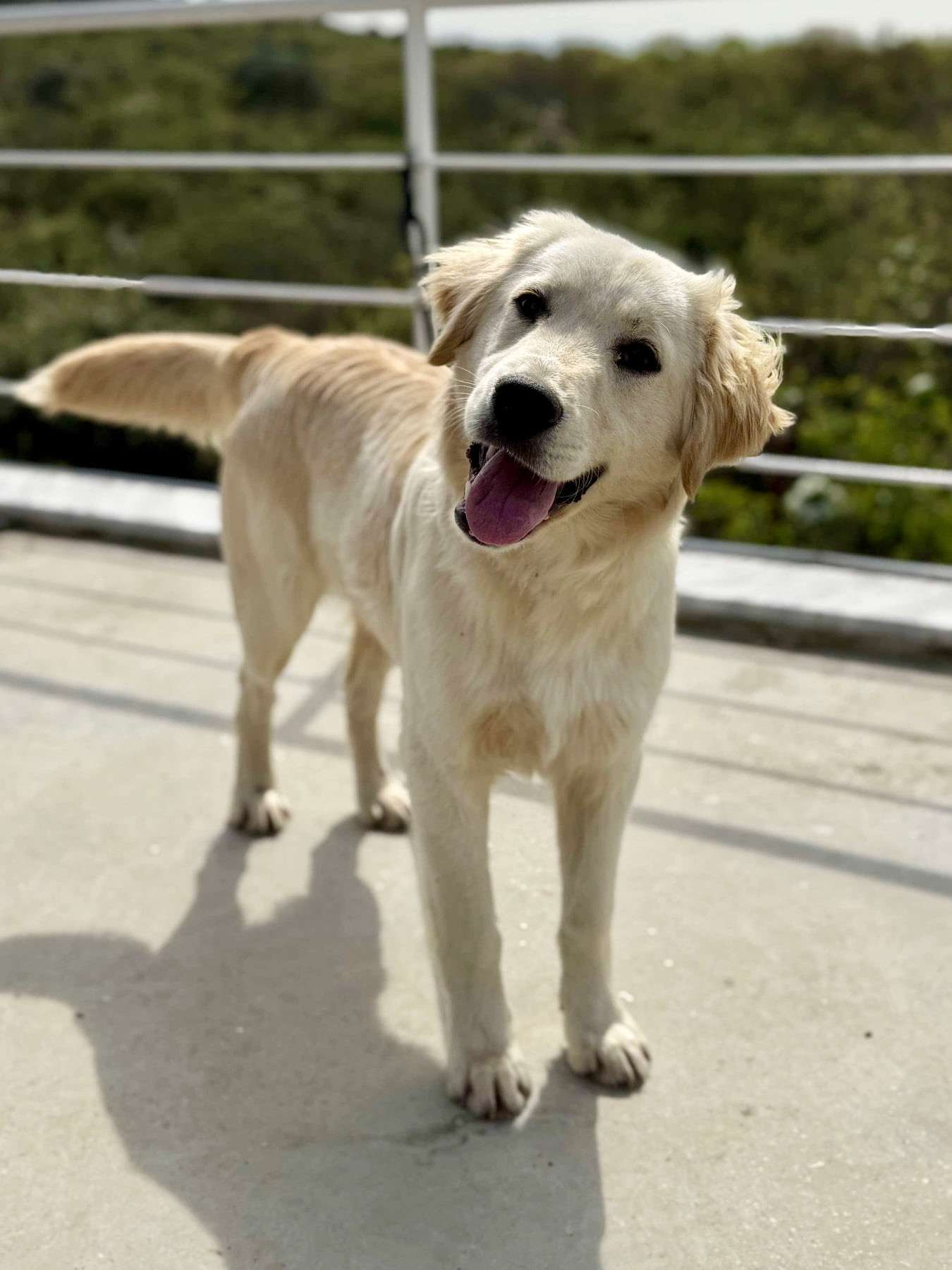 Sammy 