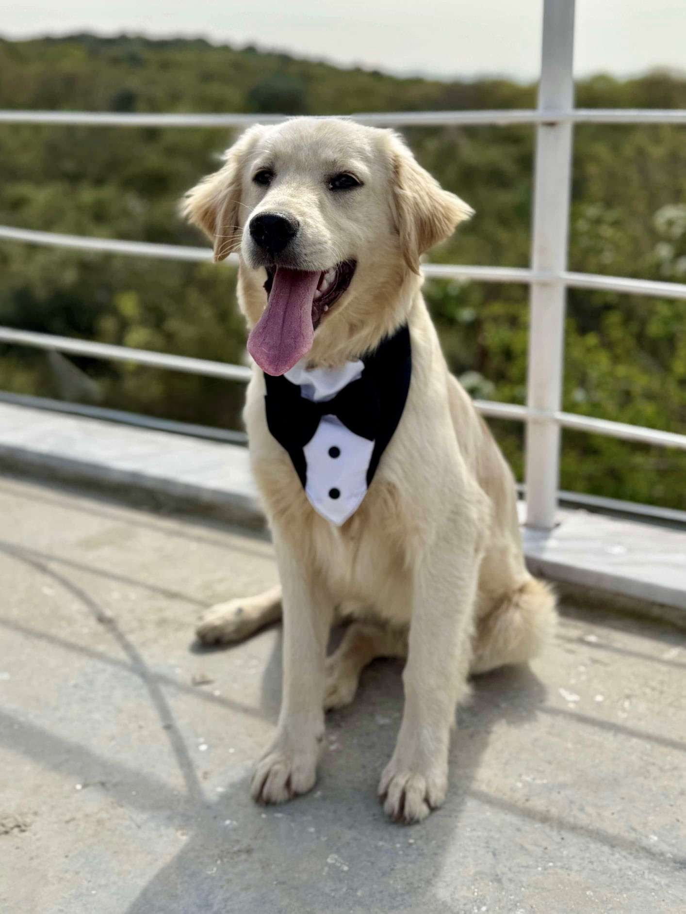 Sammy 