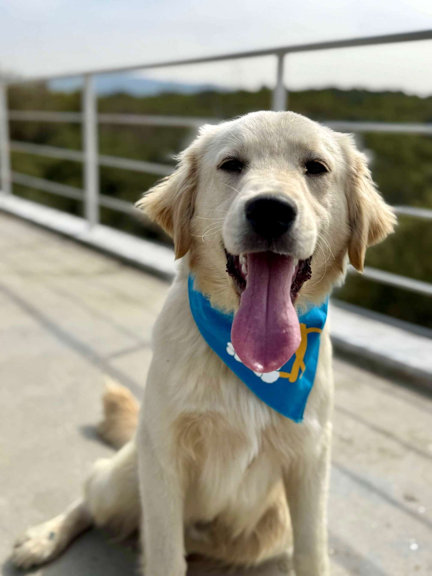 Sammy 
