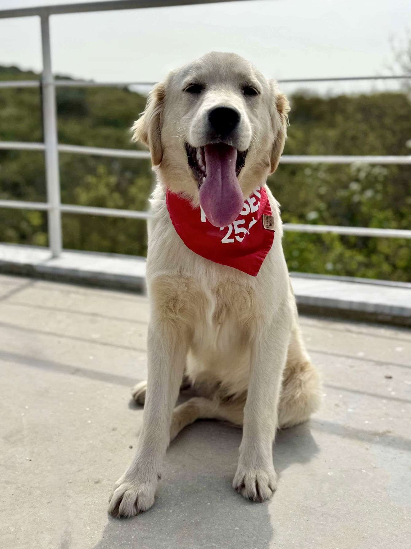 Sammy 