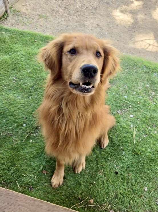 Doug
