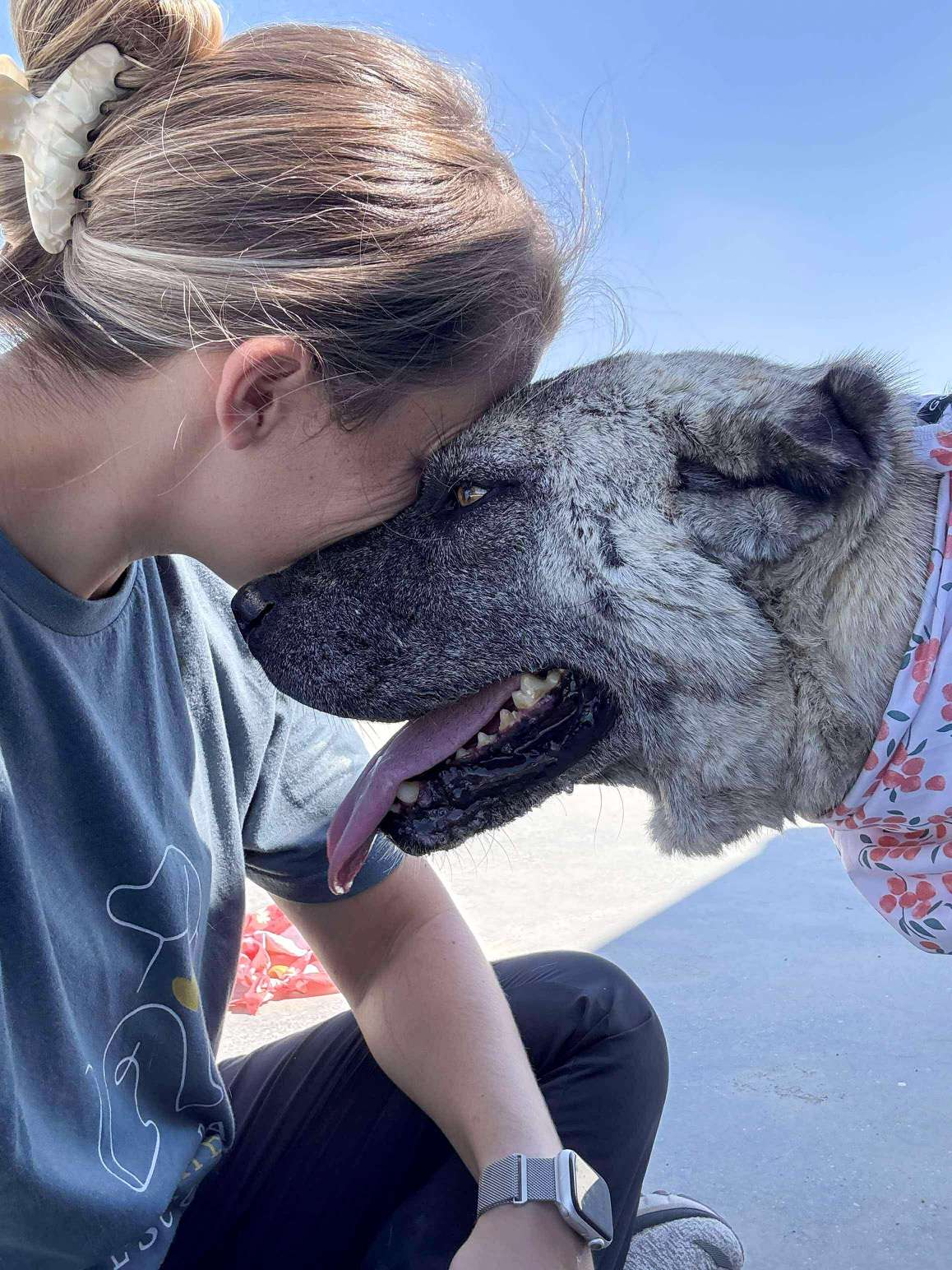 Gone But Not Forgotten <br> Aysel