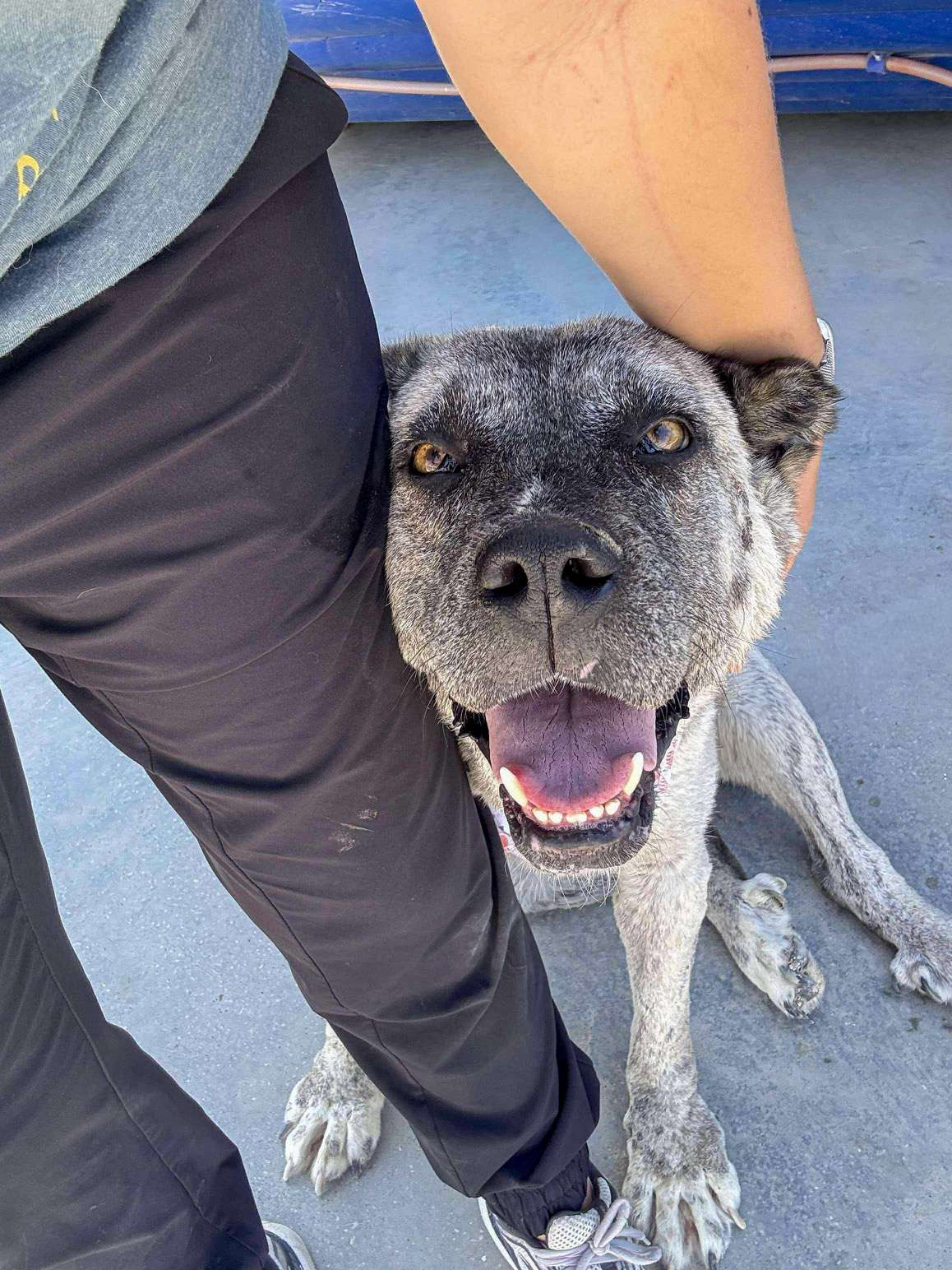 Gone But Not Forgotten <br> Aysel