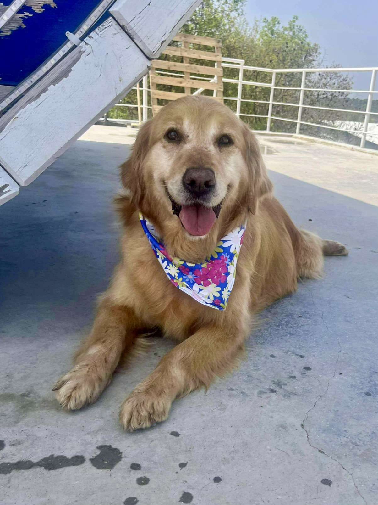 Eloise 
