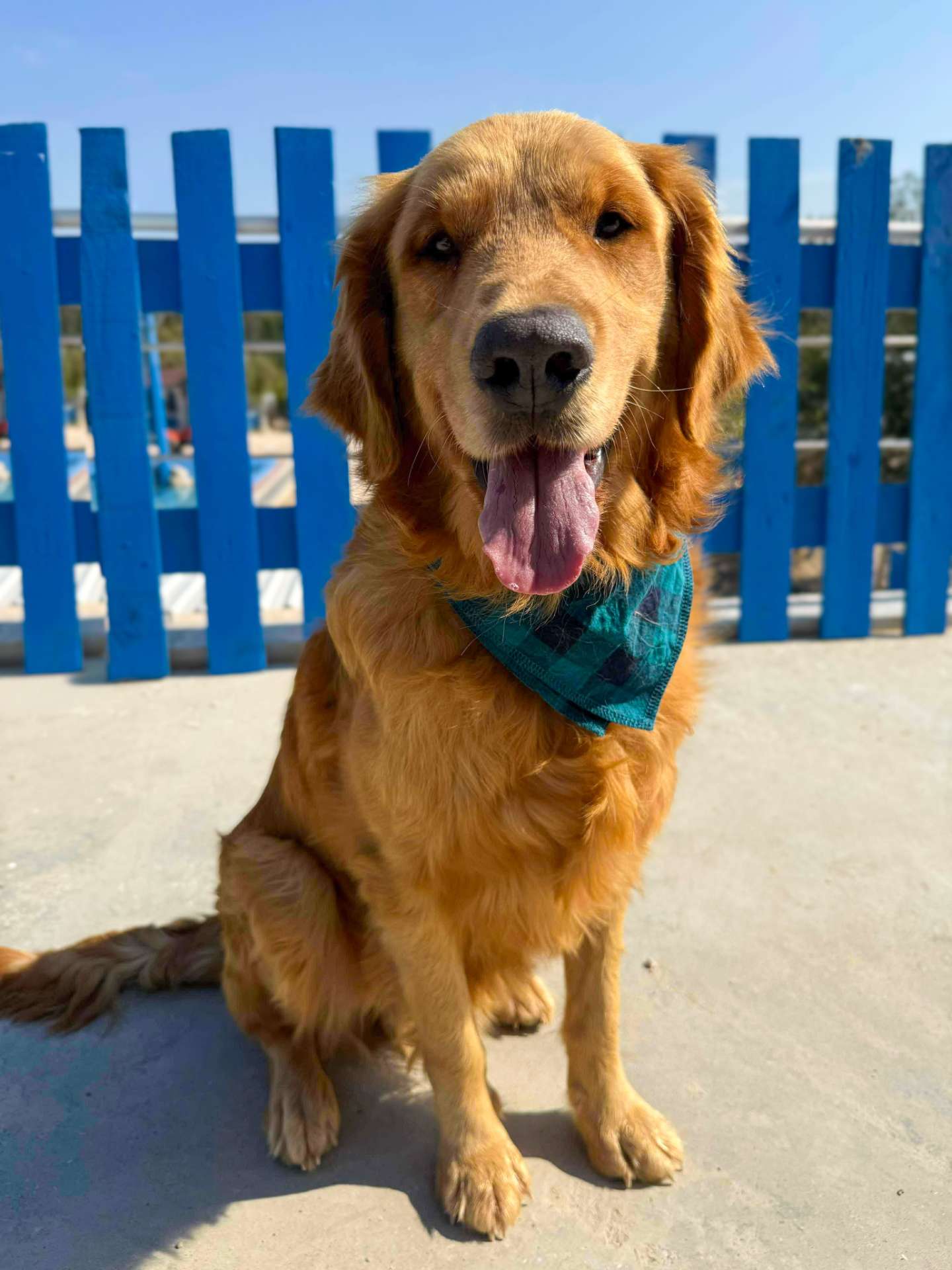 Thrive - Application Limit Exceeded 