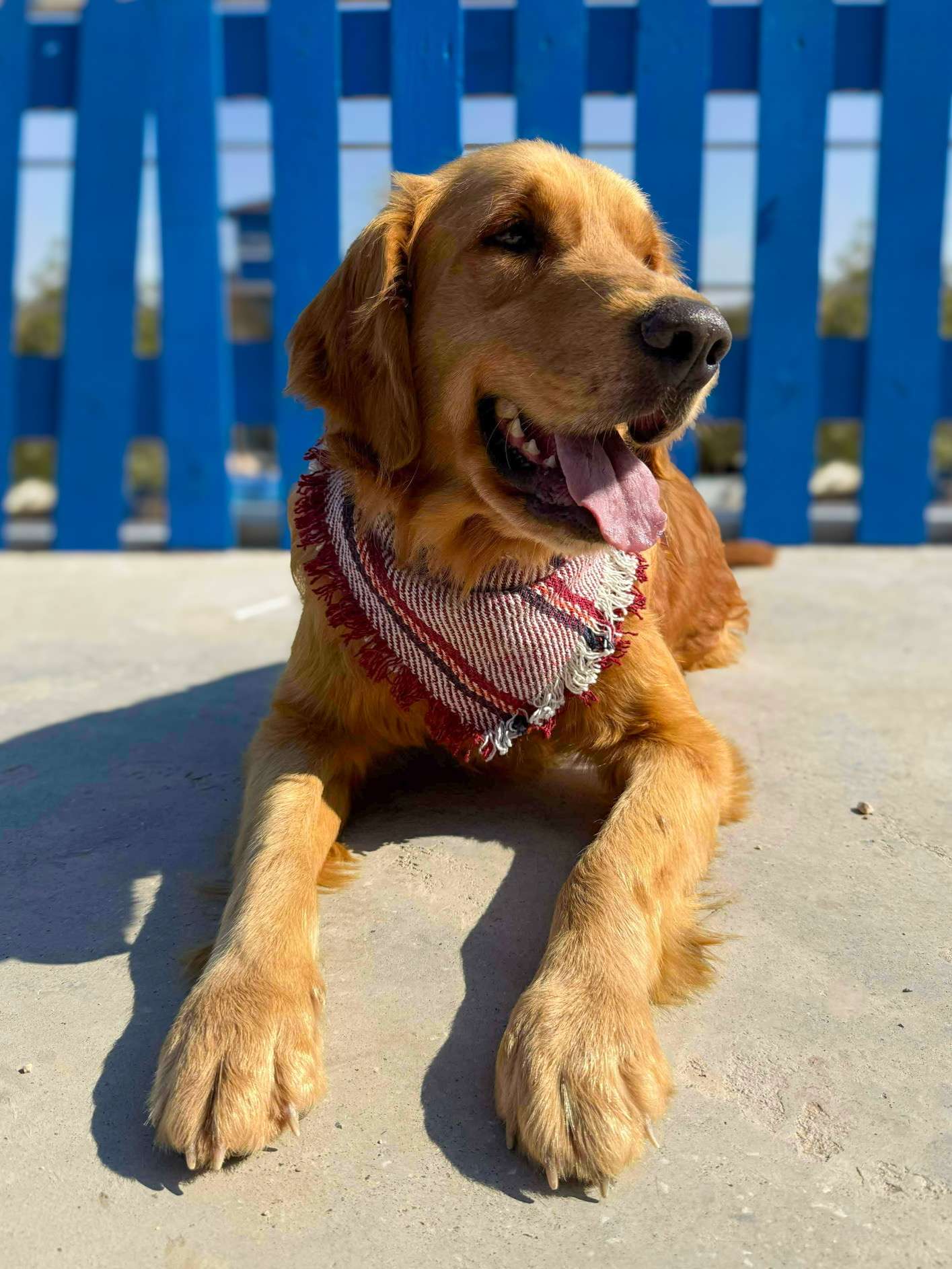 Thrive - Application Limit Exceeded 