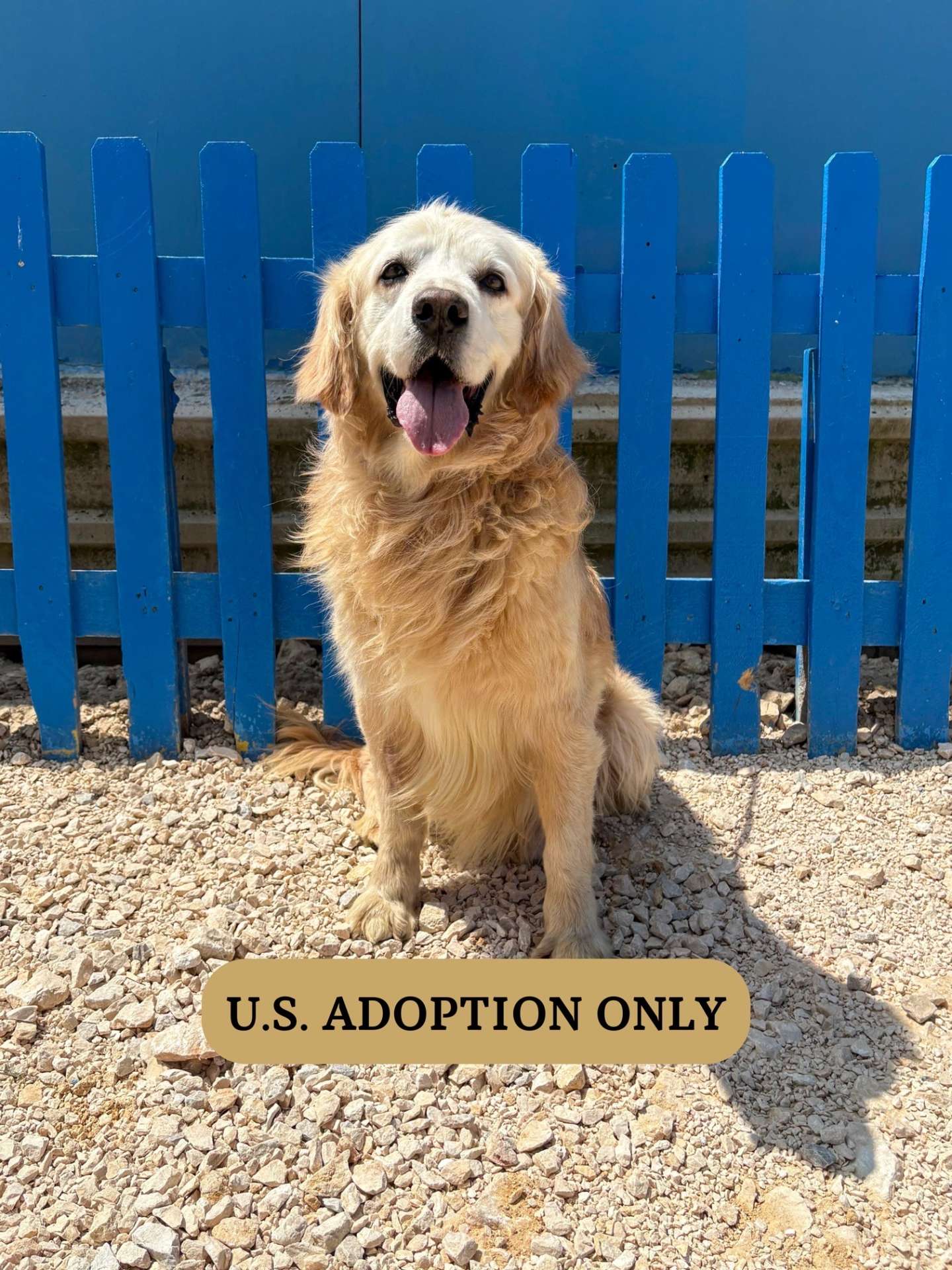 Wallace - Application Limit Exceeded 
