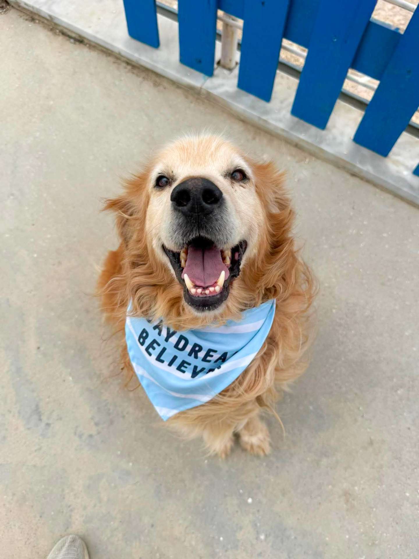 *ADOPTED* <br> Barkley 