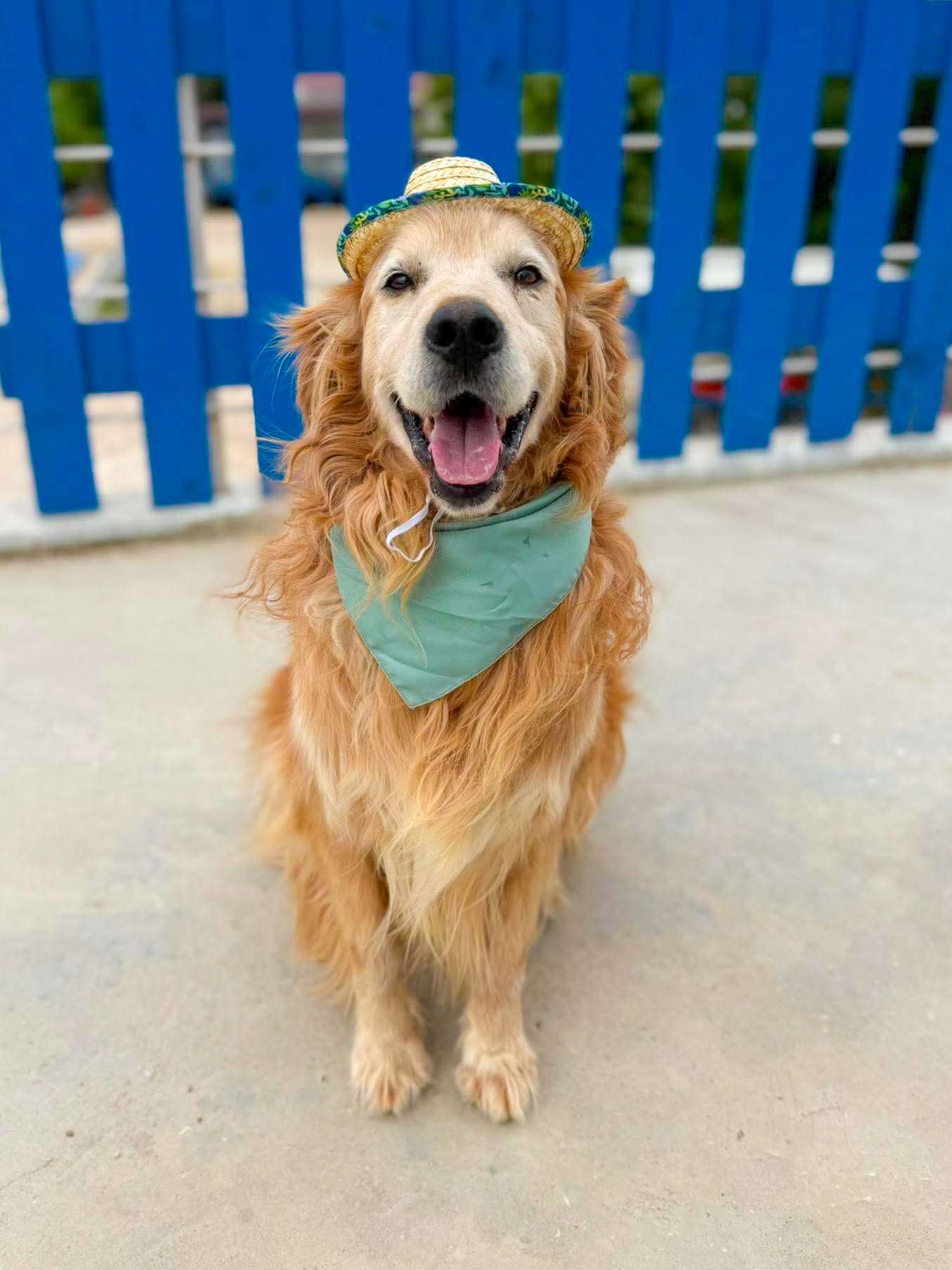 *ADOPTED* <br> Barkley 