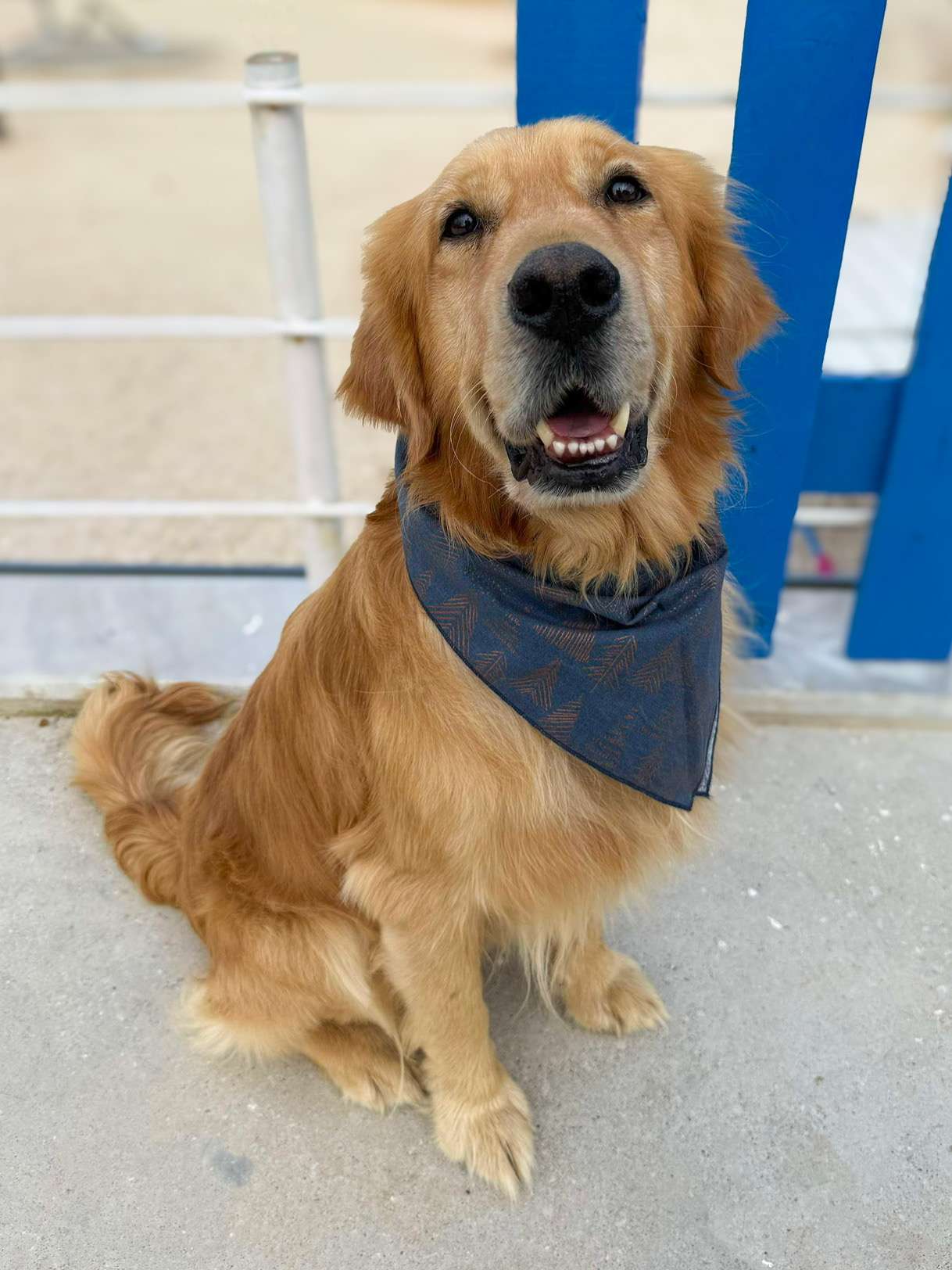 Cam APPLICATION LIMIT EXCEEDED