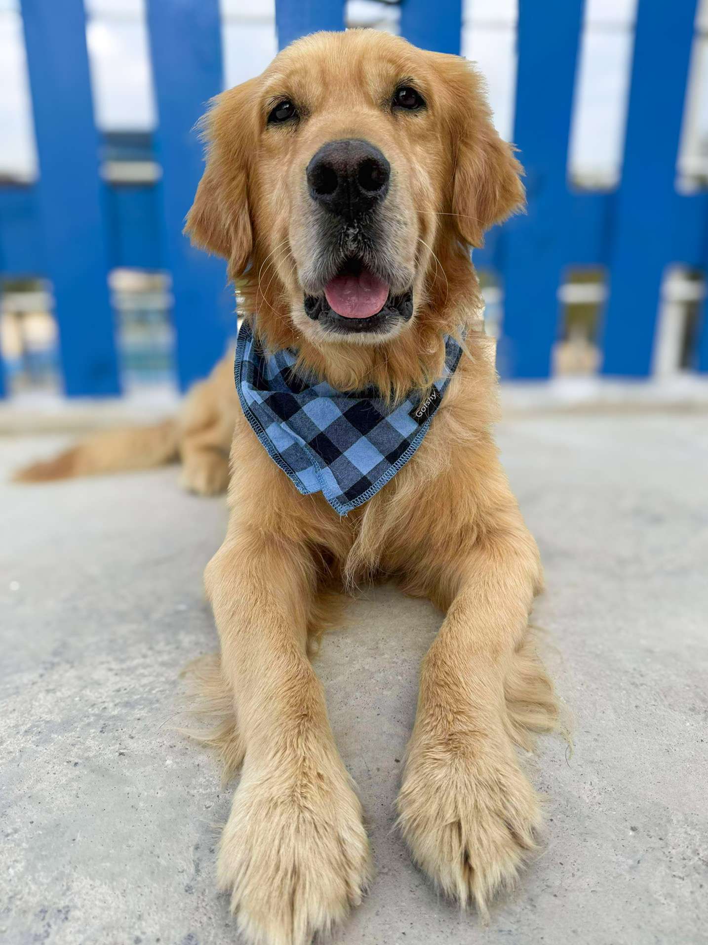 Cam APPLICATION LIMIT EXCEEDED