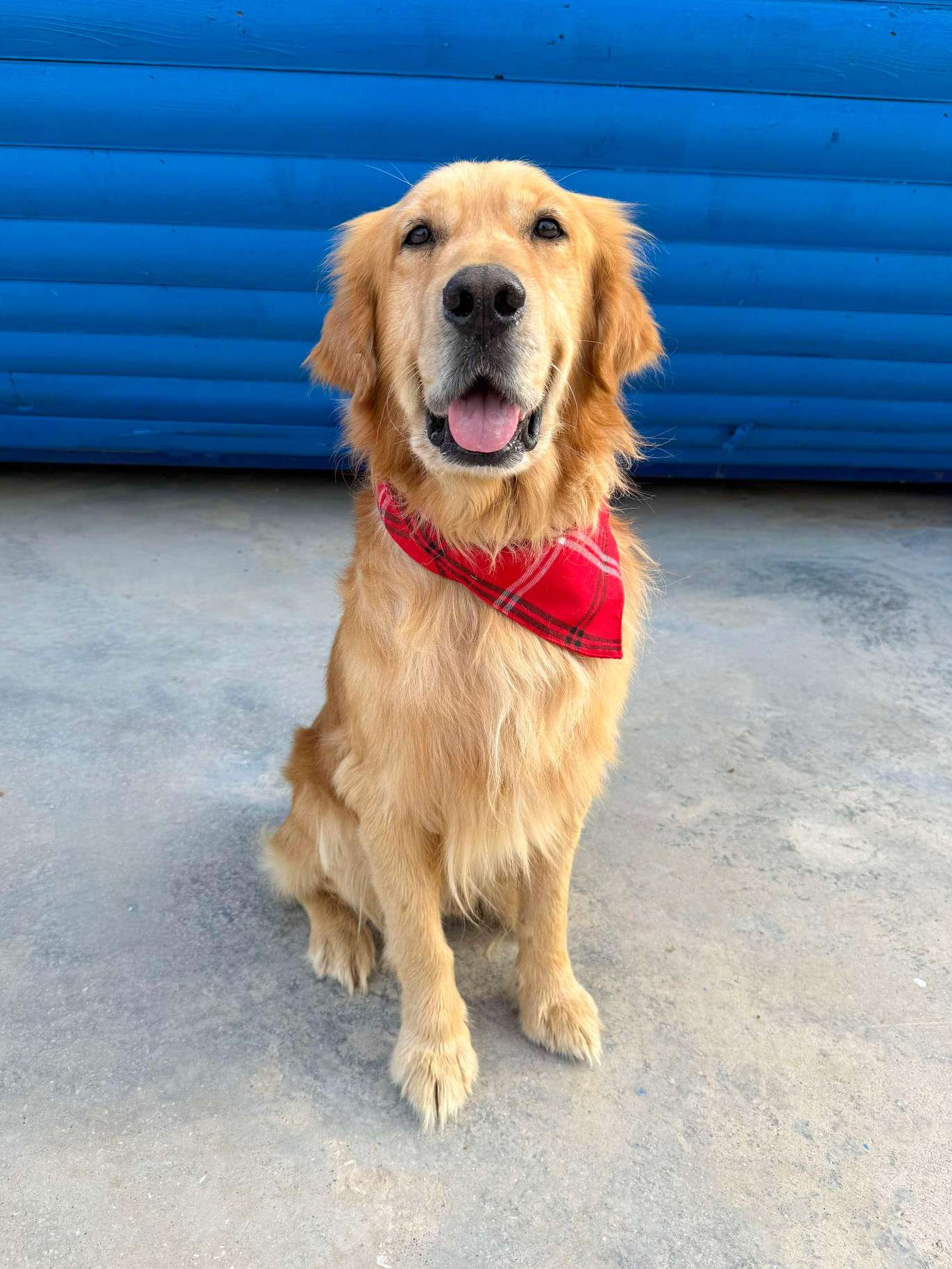 Cam APPLICATION LIMIT EXCEEDED