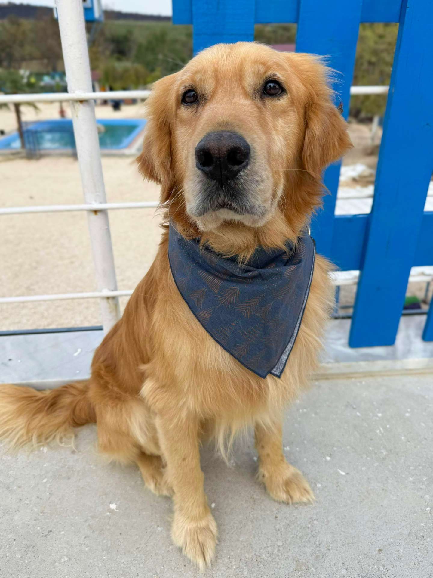 Cam APPLICATION LIMIT EXCEEDED