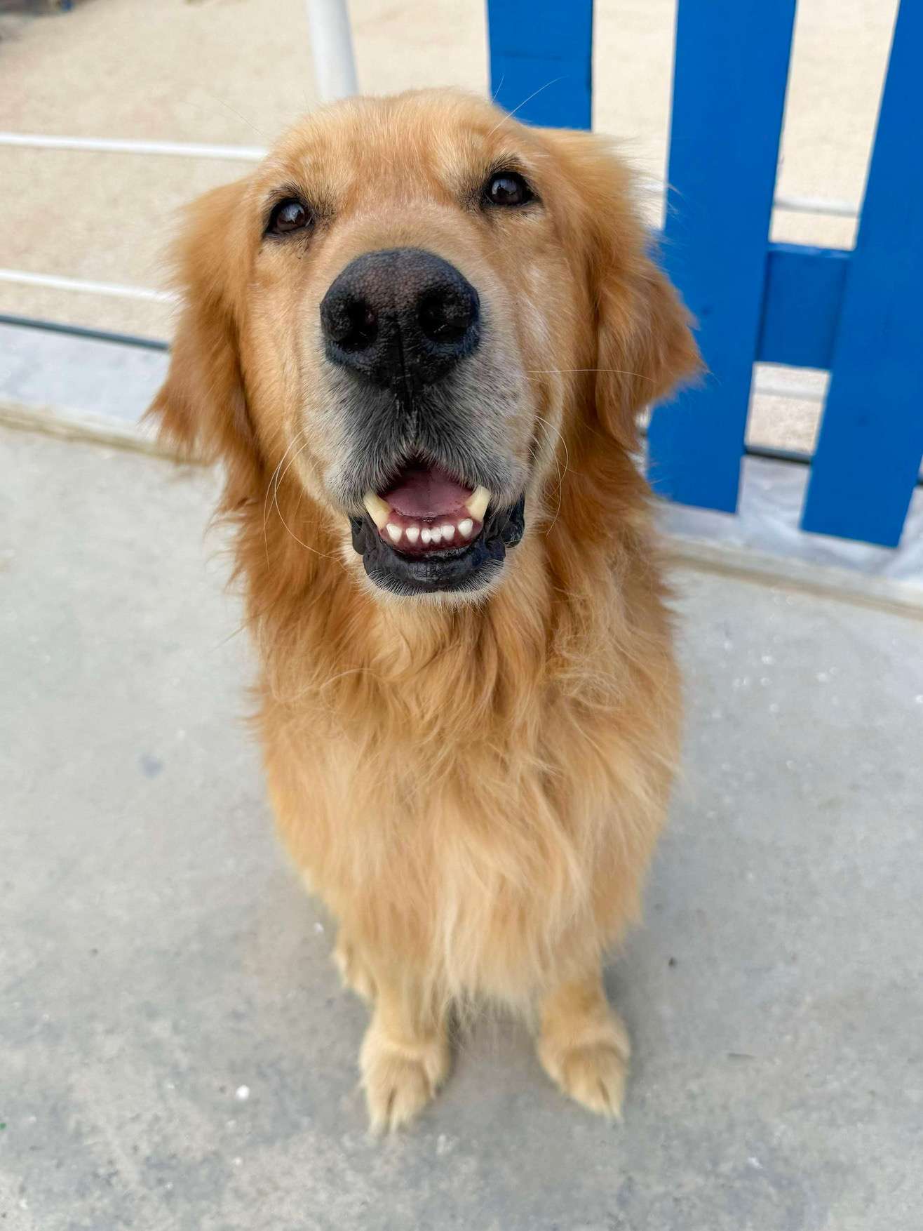 Cam APPLICATION LIMIT EXCEEDED