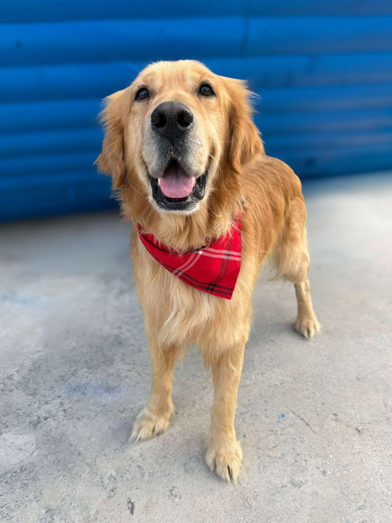 Cam APPLICATION LIMIT EXCEEDED