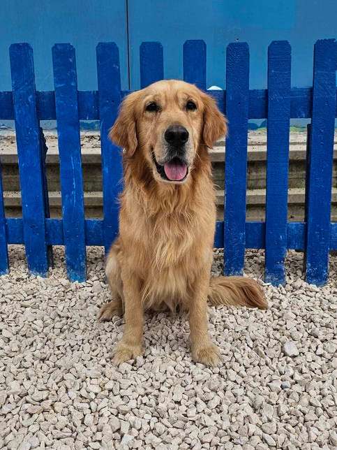 Cam APPLICATION LIMIT EXCEEDED