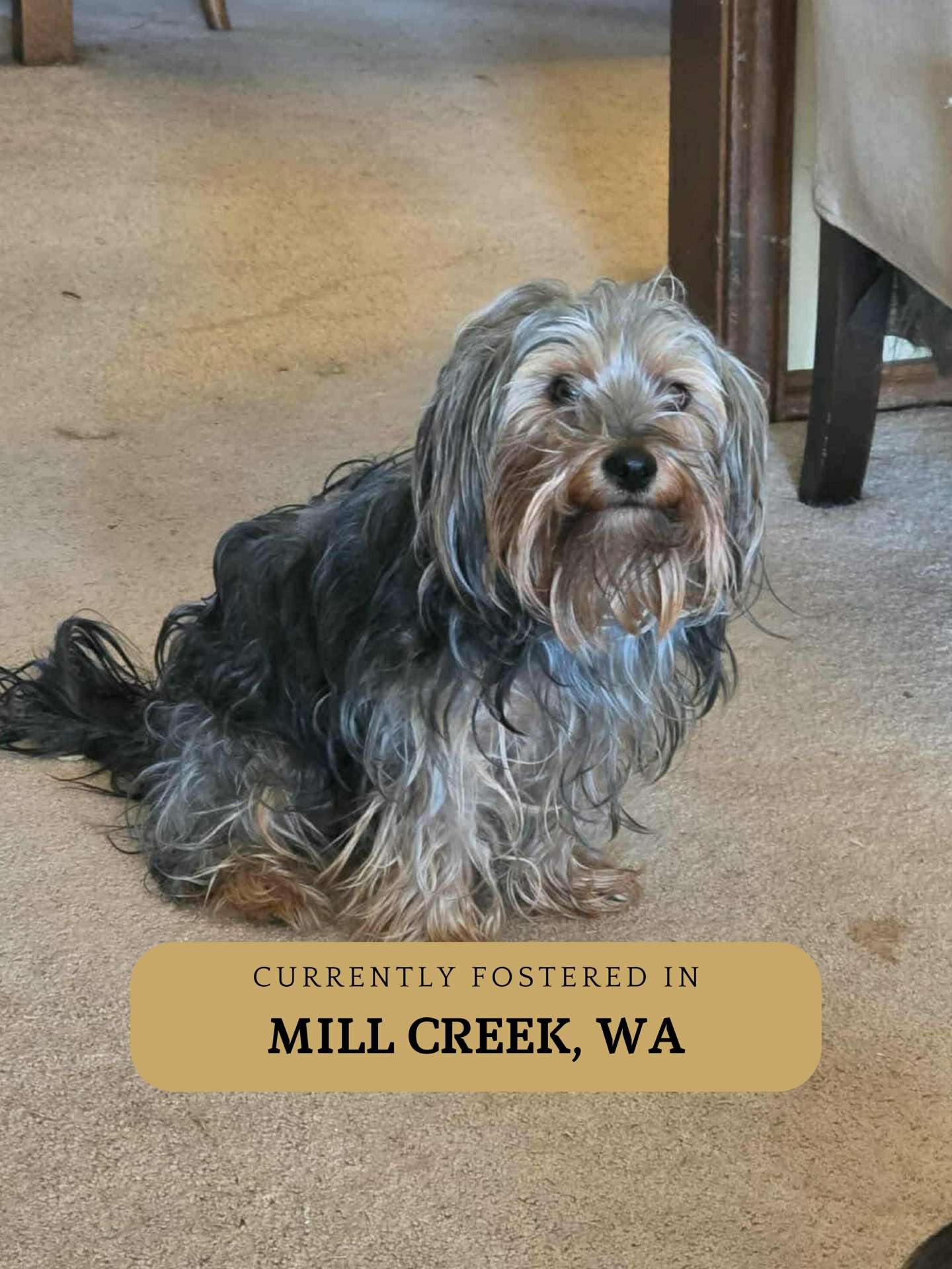 Max-app limit exceeded