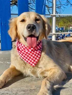 Kennedy - Application Limit Exceeded