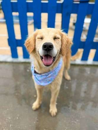 Kennedy - Application Limit Exceeded