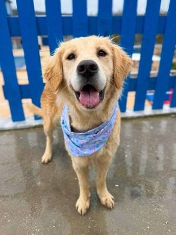 Kennedy - Application Limit Exceeded