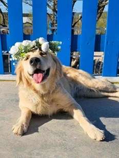 Kennedy - Application Limit Exceeded