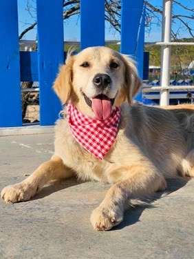 Kennedy - Application Limit Exceeded